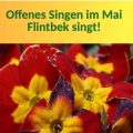 Offenes Singen im Mai – Flintbek Singt!